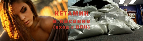 прущие грибы Киренск