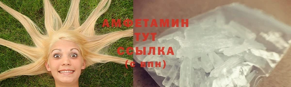 стаф Козловка