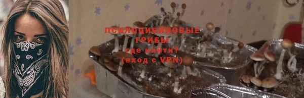 стафф Киреевск