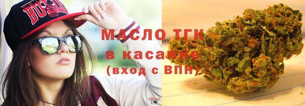 стаф Козловка