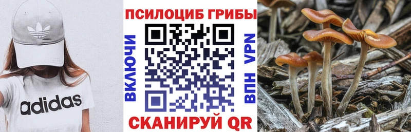 blacksprut как зайти  Лангепас  Псилоцибиновые грибы мицелий 